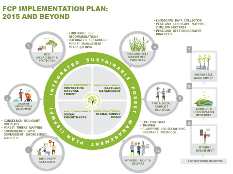 Forest Conservation Policy Implementation Infographic - Asia Pulp and Paper - APP (Graphic: Business Wire)
